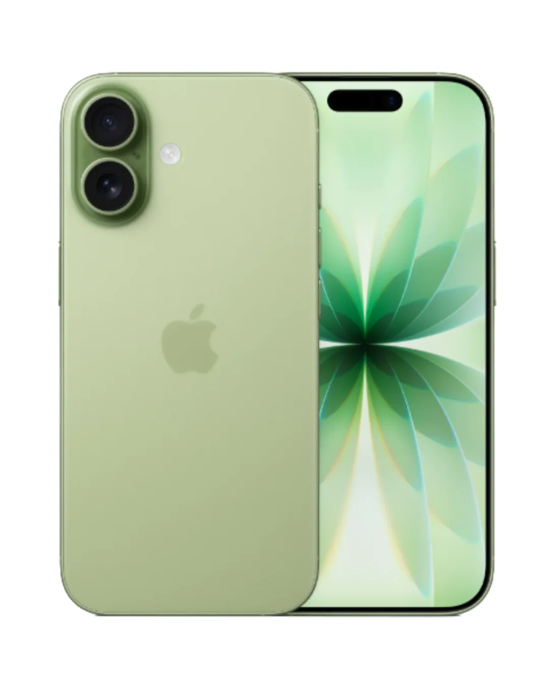 Apple iPhone 17 256GB Sage 5G Dual eSIM - UAE Version (TDRA)